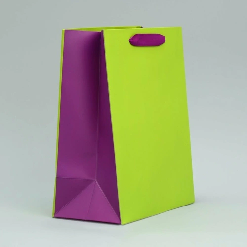 Пакет подарочный 18*23*10см салатовый-сиреневый 9612656 (10)